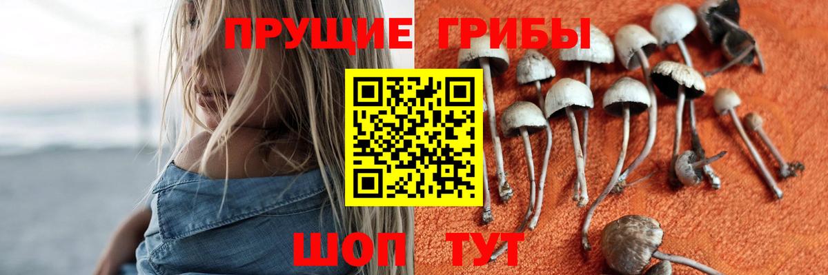 Петропавловск-Камчатский  Галлюциногенные грибы Magic Shrooms  Вход с VPN 